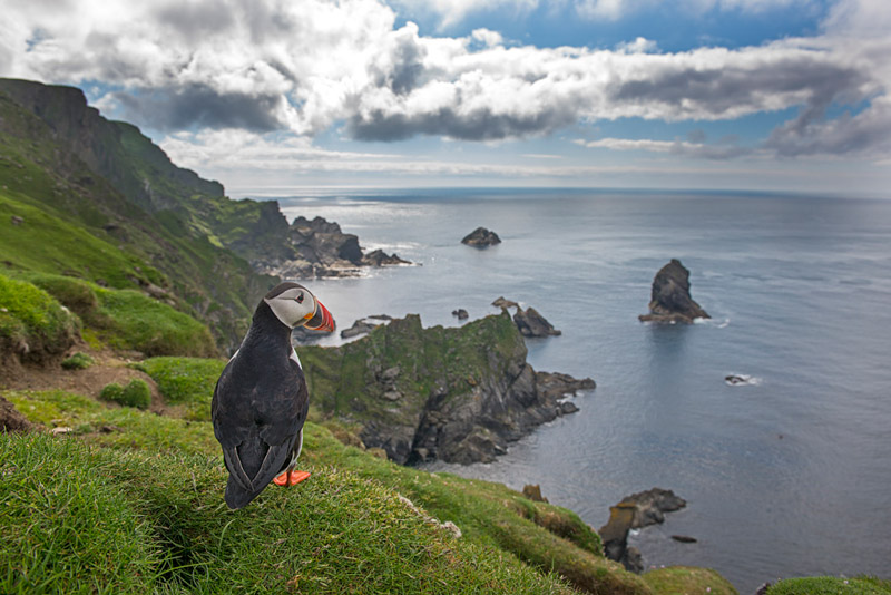 10 Top Tips for Taking Better Bird Photos | Nature TTL