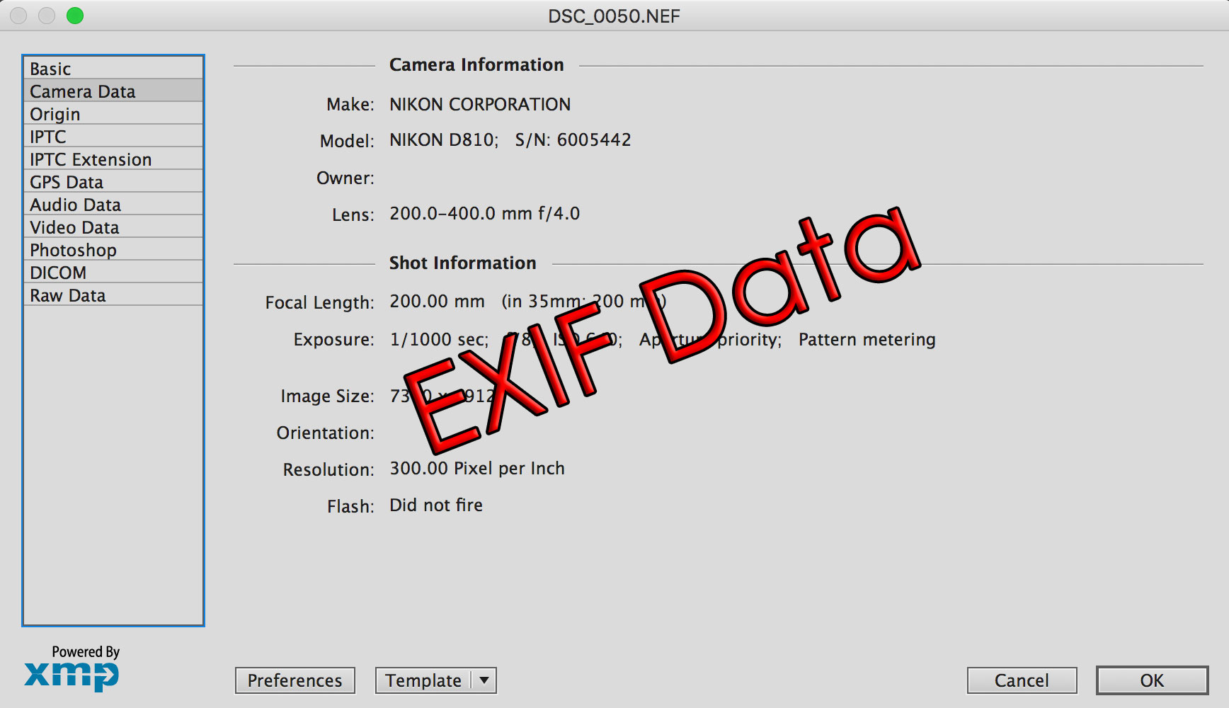 what-is-exif-data-nature-ttl