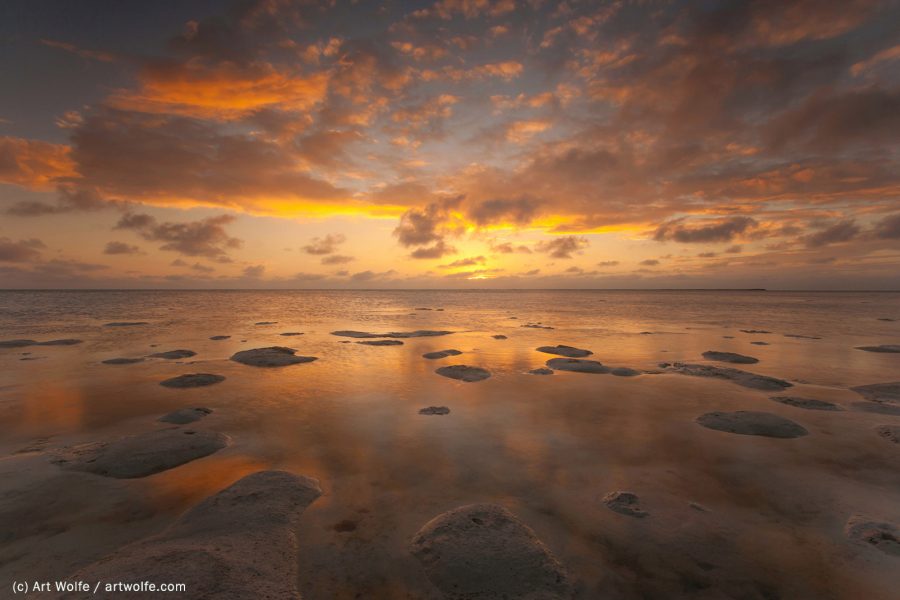 Art Wolfe: How Horiz