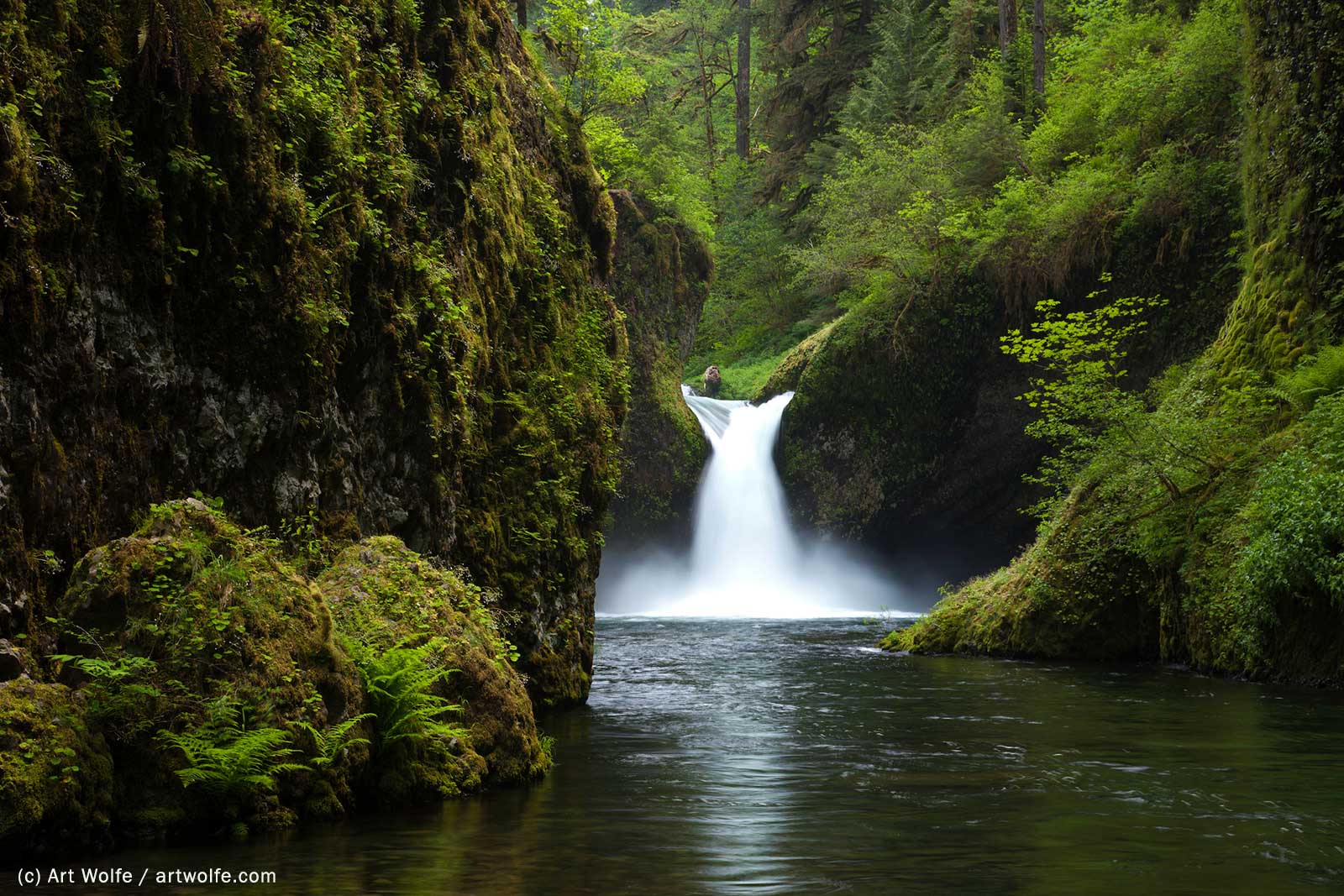 Art Wolfe: How Horizon Placement Affects Depth | Nature TTL