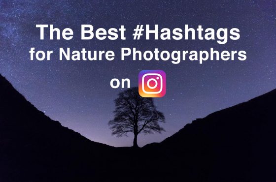 best hashtags for nature photography on instagram - 10 photographers worth following on instagram