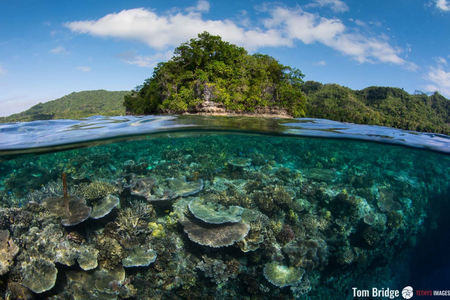 How to Photograph Coral Reefscapes - Nature TTL