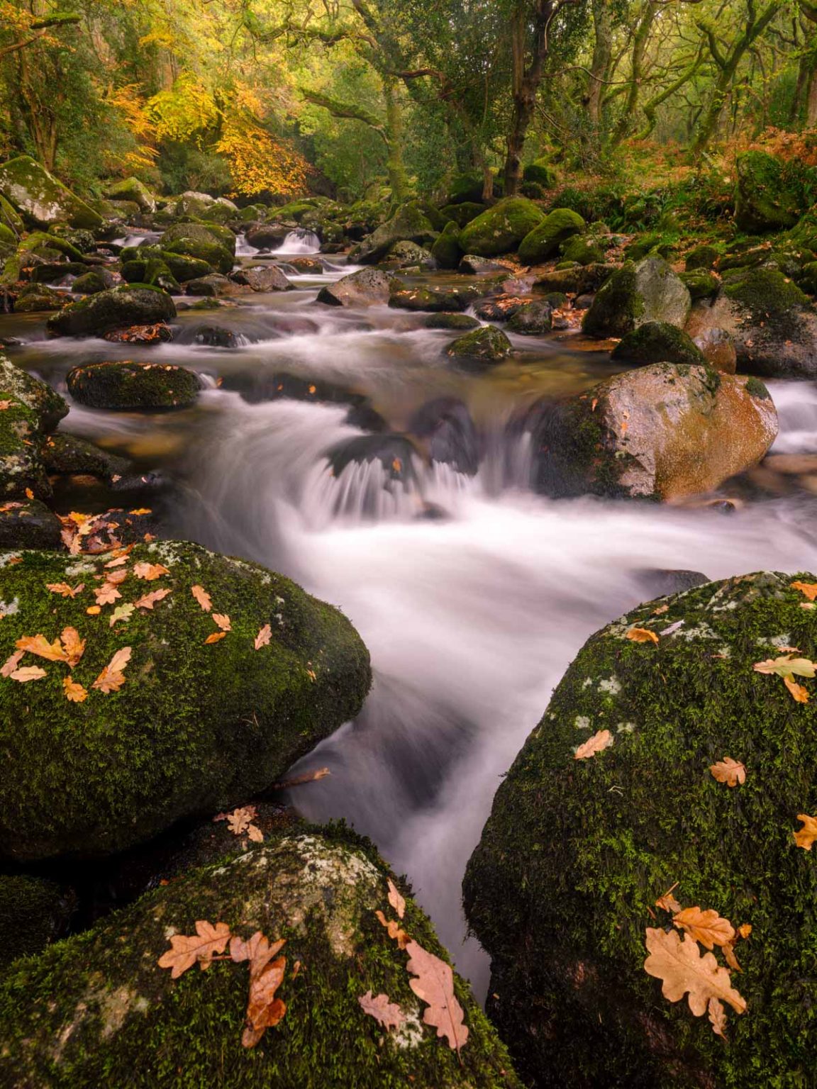 Landscape Photography Settings for Cloudy Days - Nature TTL