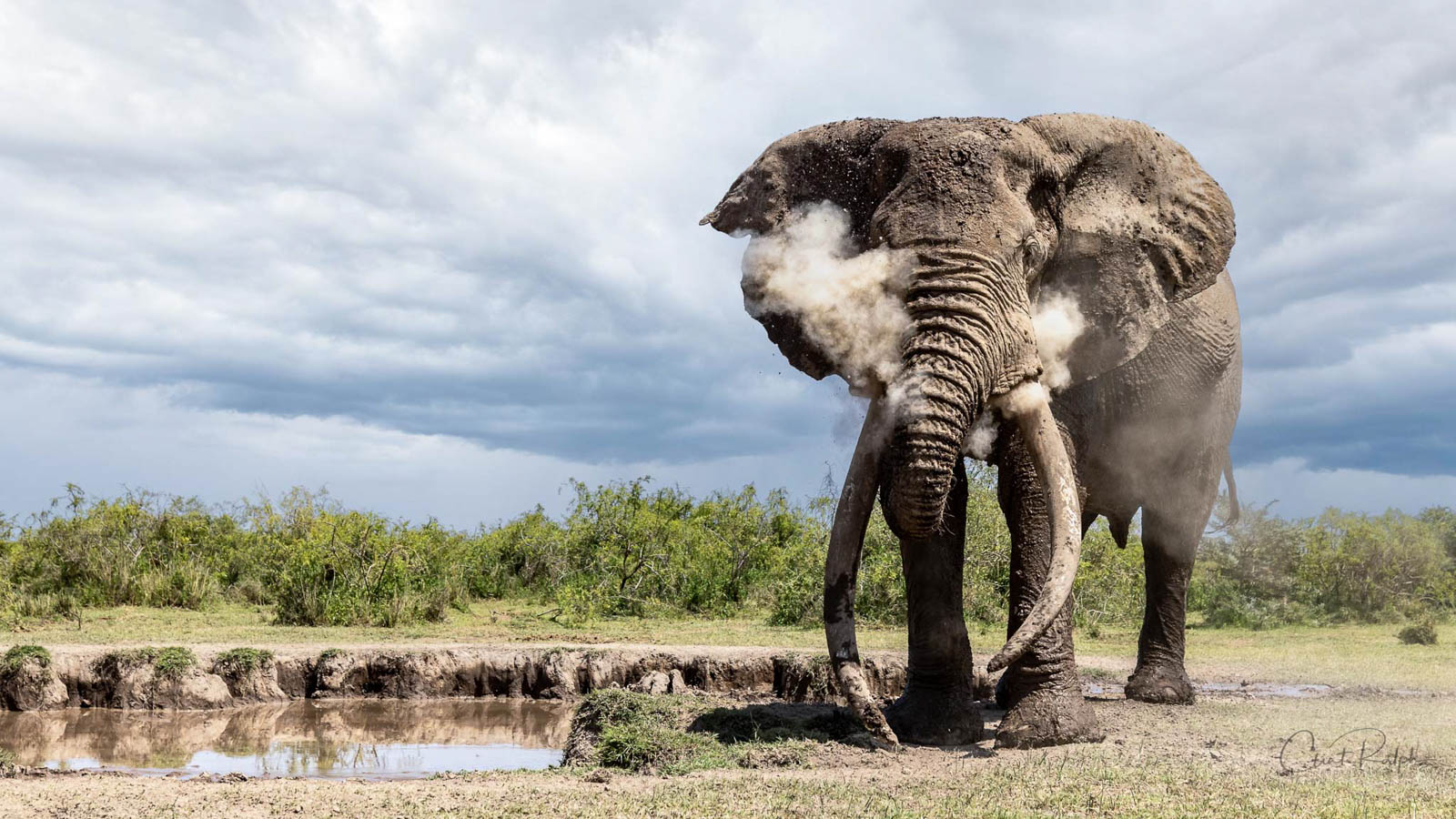 Photographing One of the Last Super Tuskers of Africa - Nature TTL